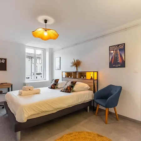 شقة Le Saloir Du Faubourg - Centre-ville De نانسي